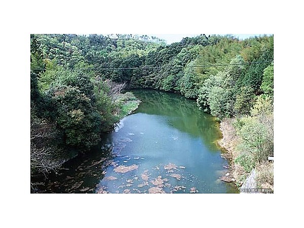 長柄ダム湖又は長柄湖