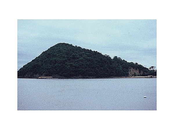 皇子神社の社叢