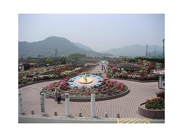 よしうみバラ公園