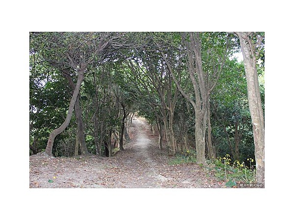 自然休養林「諏訪崎」遊歩道