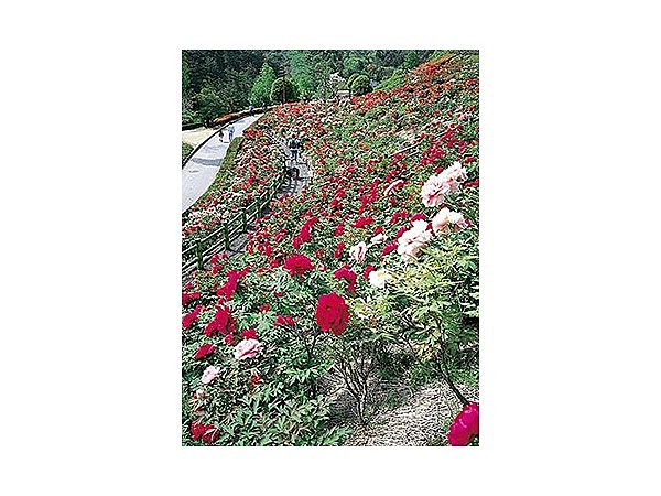 市民の森・フラワーパーク