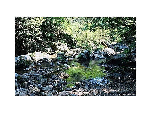 桂川渓谷（愛媛県）