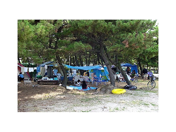 松原海水浴場キャンプ場