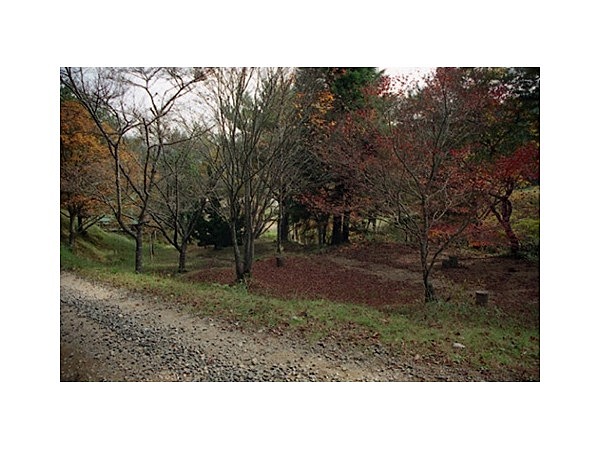 獅子越キャンプ場