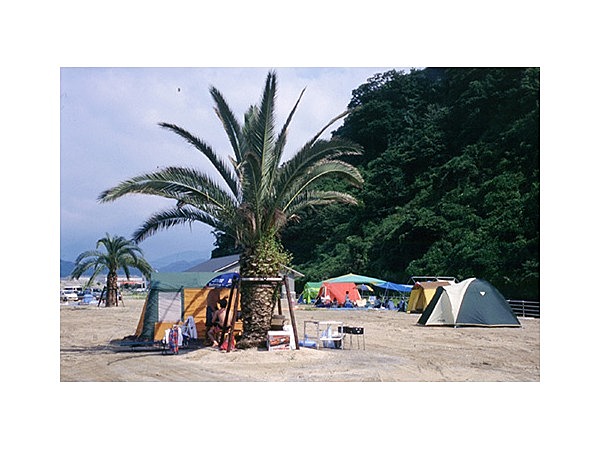 マリンパーク新居浜キャンプ場
