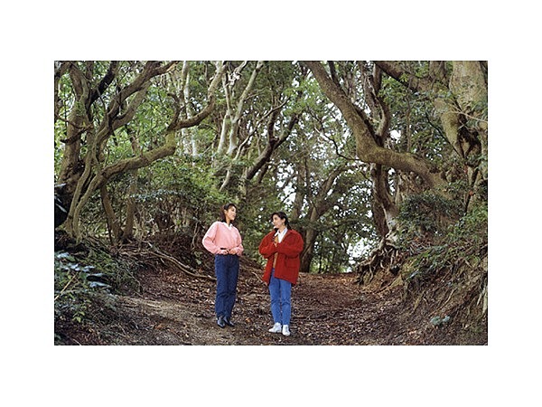 やまもものこみち