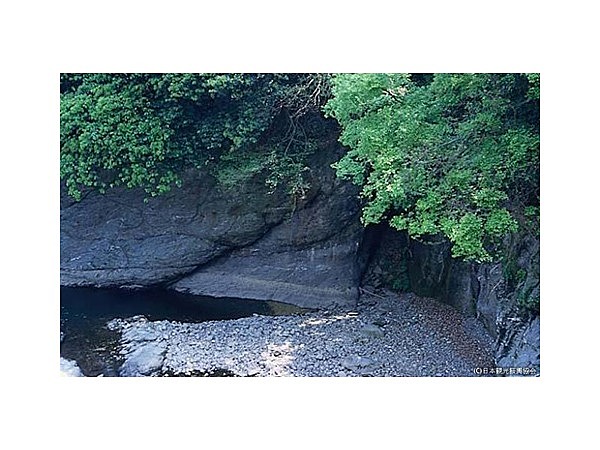 湯谷口衝上断層