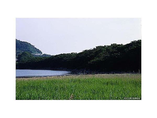 須ノ川のウバメの砂嘴