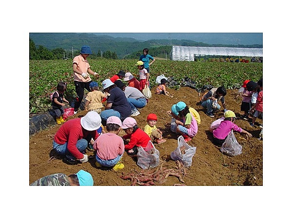 松久保観光いも園