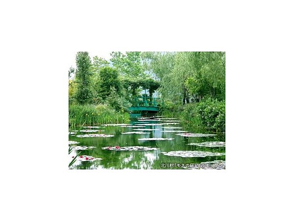 北川村「モネの庭」マルモッタン