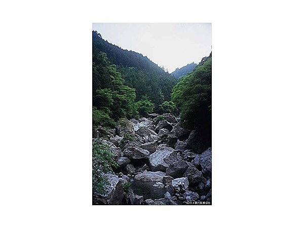 岩屋川渓谷