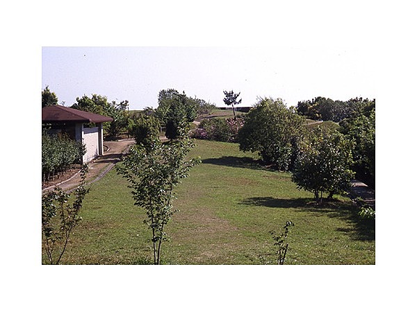 樫西キャンプ場