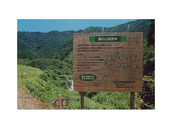 轟谷山原生林