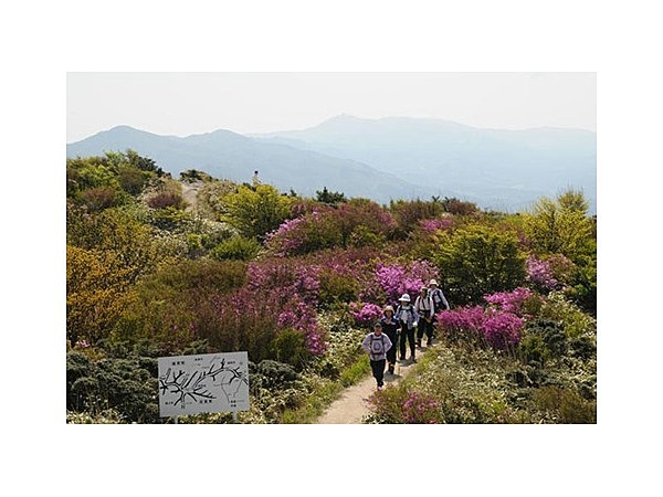 井原山自然歩道