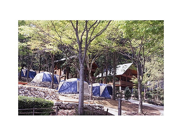 語らいの森　求菩提キャンプ場