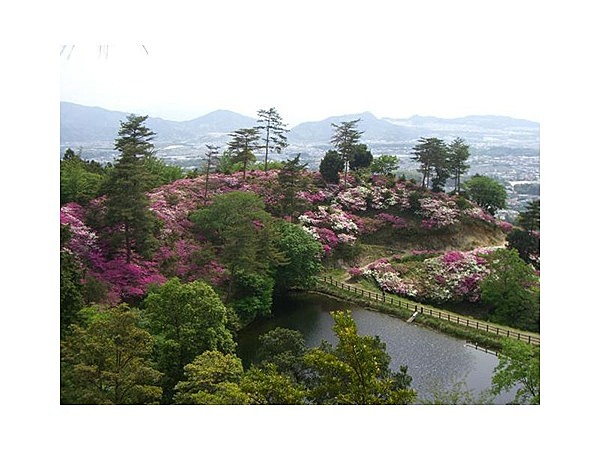 須恵町立皿山公園