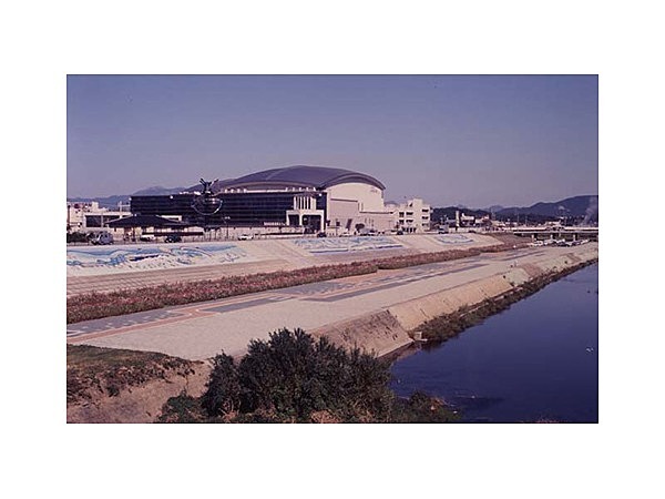 イイヅカコスモスコモン