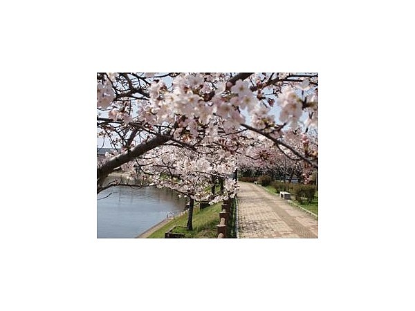 井原堤水辺公園