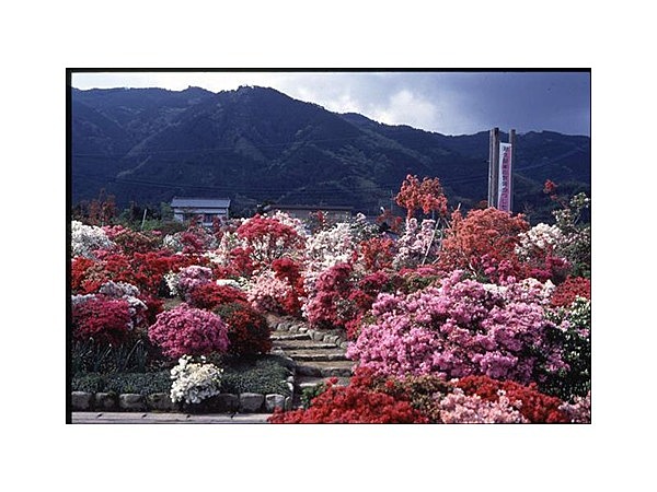 久留米市世界つつじセンター