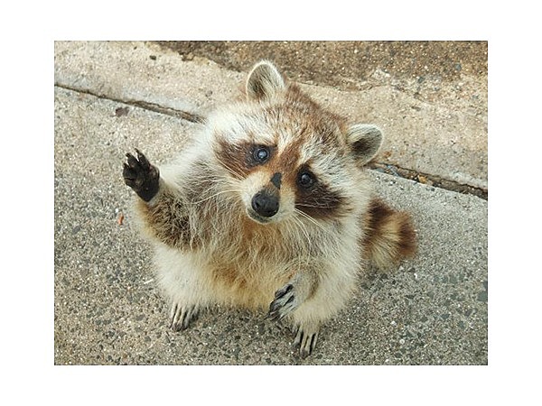 武雄・嬉野メルヘン村