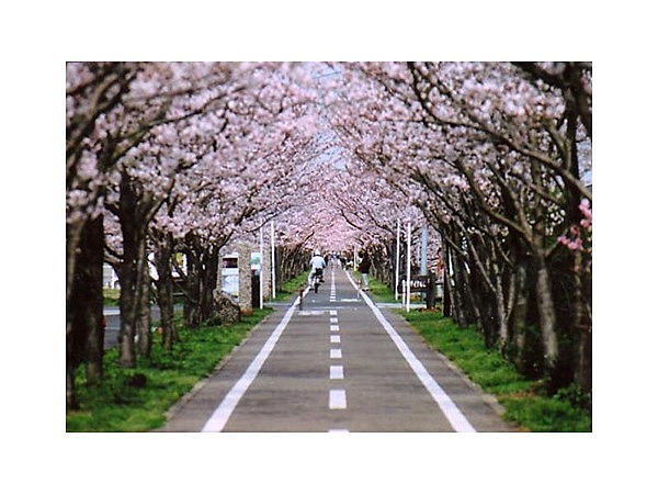 徐福サイクルロード