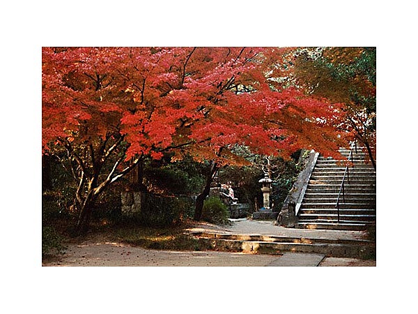 水上不動尊(万寿寺)