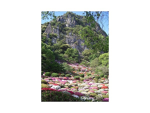 御船山楽園のツツジ