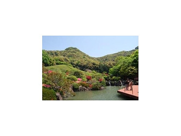 慧洲園のツツジ