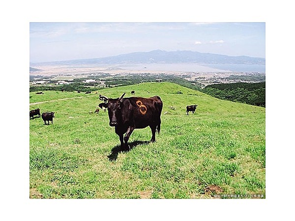 牧場の里あづま
