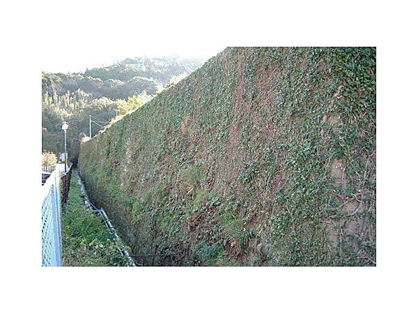 土肥家の阿房屏