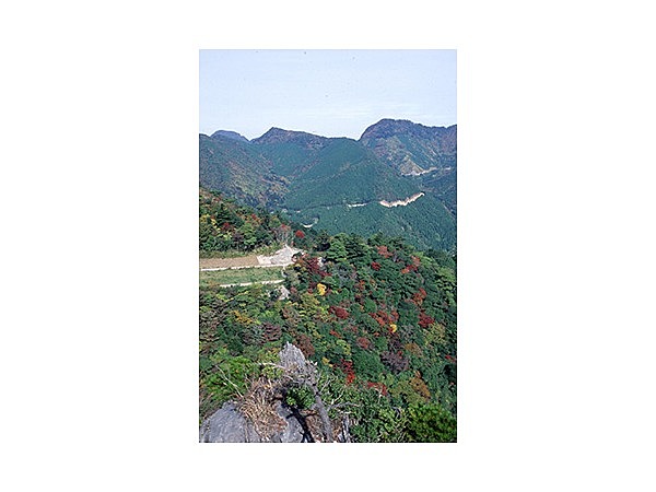 善住寺大山の紅葉