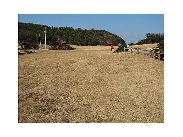 大賀キャンプ場