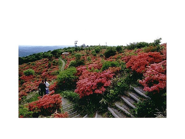 室根山国民休養地