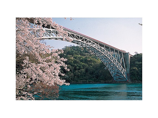 西海橋のツツジ・桜