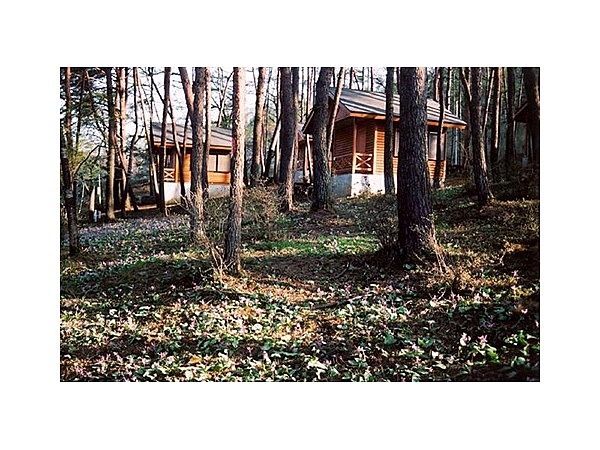 戸塚森森林公園