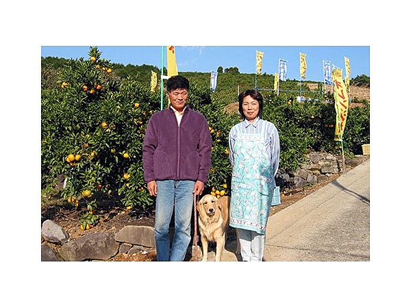 天水オレンジ村
