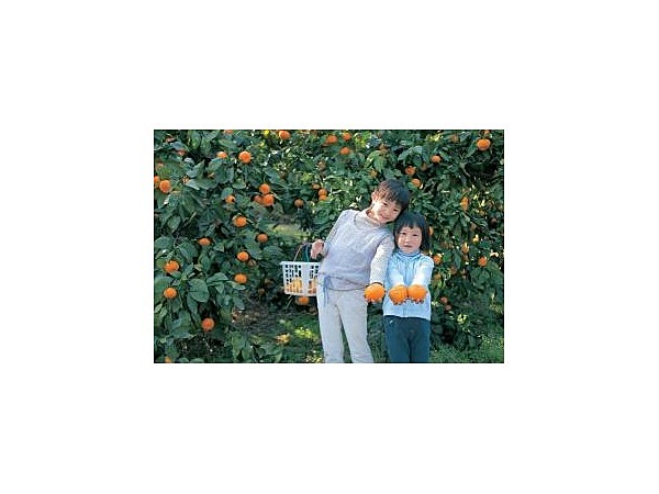 フルーツランド大神園