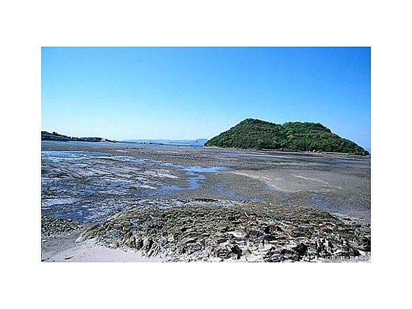 若宮海岸と亀島