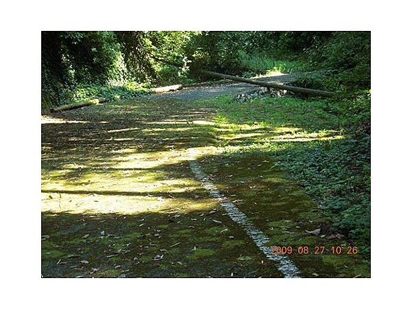 裟婆神峠の石畳