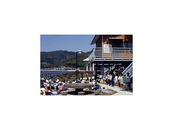 小島公園キャンプ場