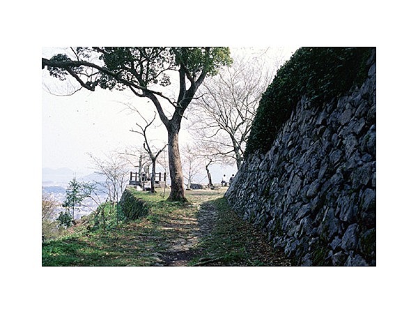 城山公園(大分県 佐伯市)