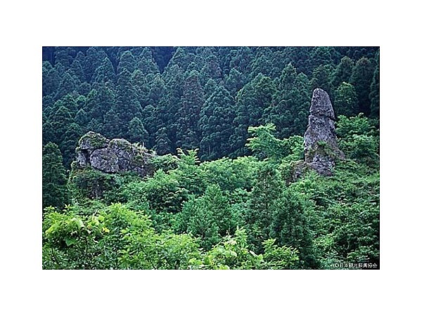 夫婦岩(大分県)