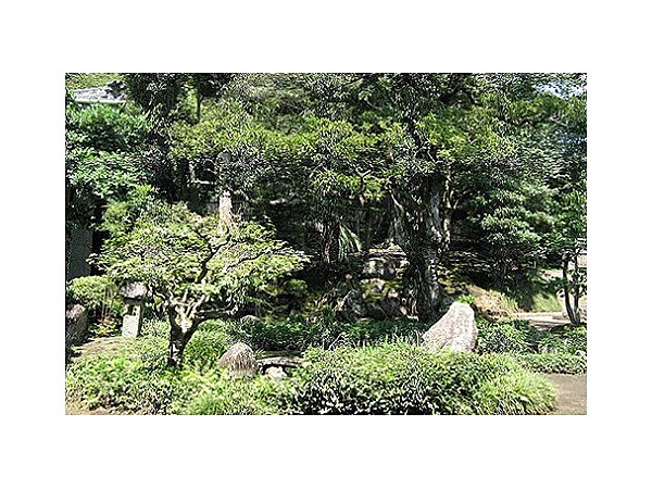 松屋寺庭園