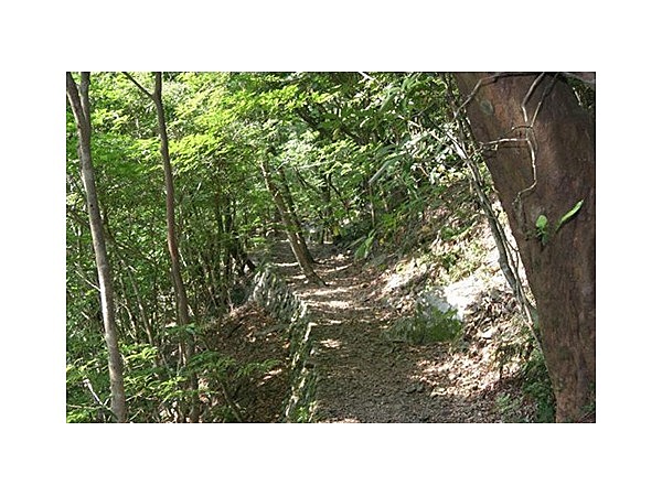 千尋自然公園遊歩道