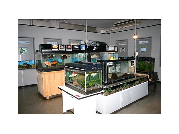 高千穂峡淡水魚水族館