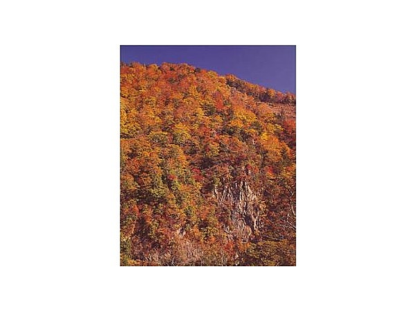 二口峡谷の紅葉