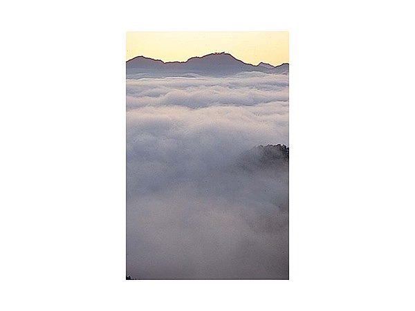 国見ケ丘の雲海