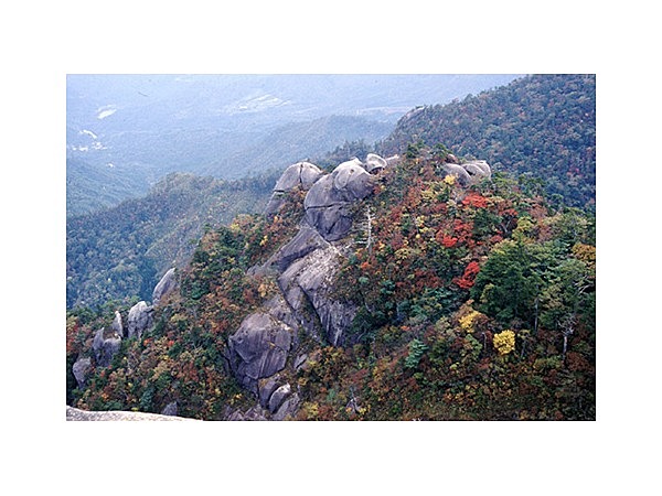 大崩山の紅葉