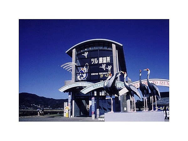 出水市ツル観察センター