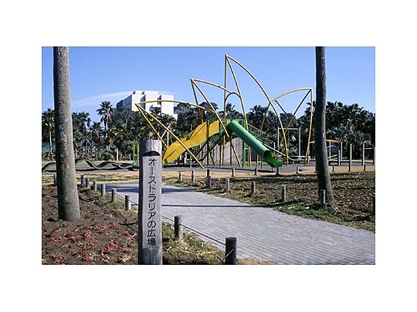 オーストラリアの森